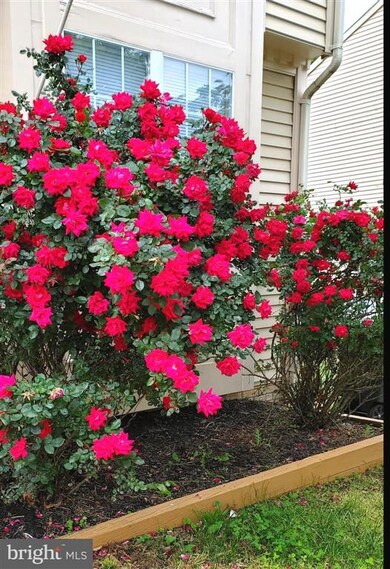 9333 Steeple Ct, Laurel, MD 20723 - photo 2