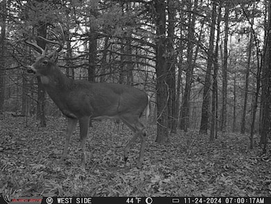 000 N Highway 41, Cecil, AR 72930 - photo 5