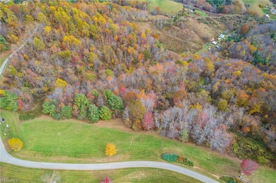 TBD 2 Mayito Ln, Mouth of Wilson, VA 24363 - photo 3