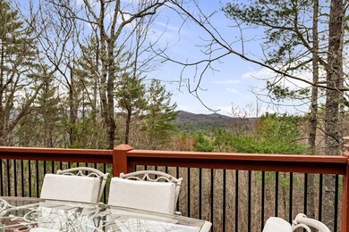 1036 Laurel Creek Trail, Cherry Log, GA 30522 - photo 3