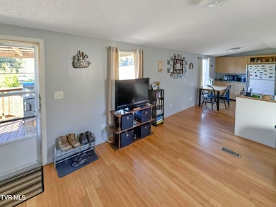 1244 Shady Rest Dr, Newport, TN 37821 - photo 6