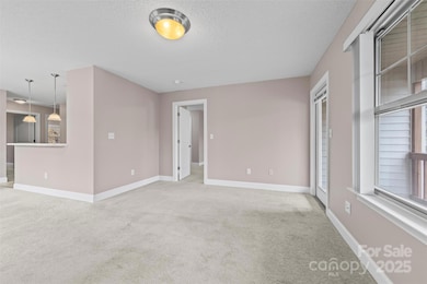 234 Wash Creek Dr unit F, Hendersonville, NC 28739 - photo 4