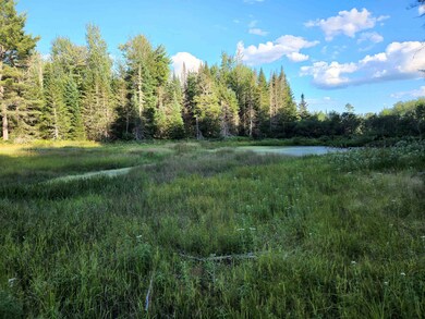 0000 Under the Mountain Rd, Lyman, NH 03585 - photo 4