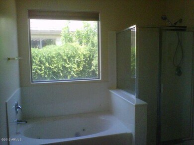 master tub and shower