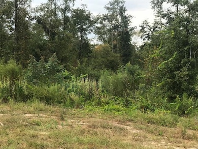 Tbd US Highway 278, Barnwell, SC 29812 - photo 3