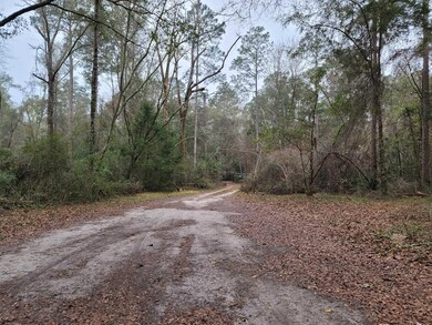 101 Leslie Cir, Crawfordville, FL 32327 - photo 5