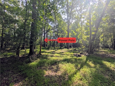 Power Pole