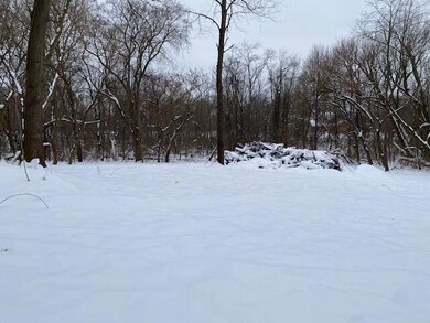 V/L E South Ave, Vicksburg, MI 49097 - photo 3