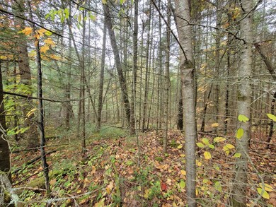 ON Cth B unit Lot 2, Antigo, WI 54424 - photo 4