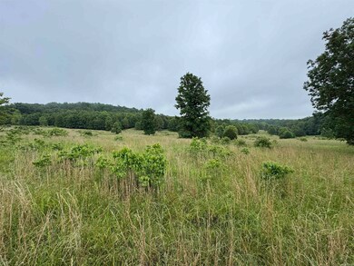 0 Honeytree Ln, Camp, AR 72520 - photo 5