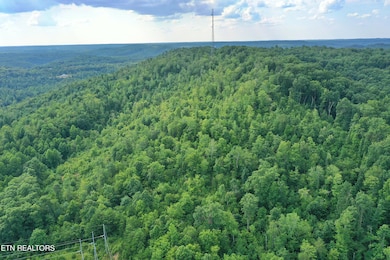 DJI_0635