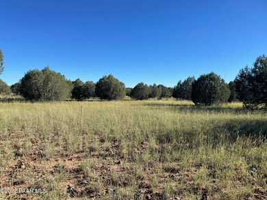 Lot 51a Juniperwood Ranch, Ash Fork, AZ 86046 - photo 7