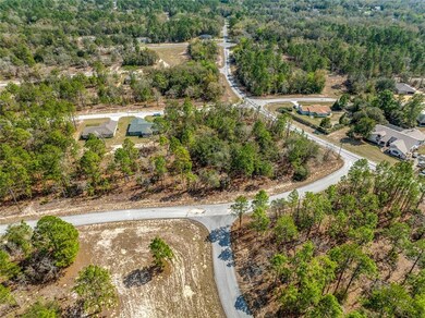 10725 N Moreno Dr, Citrus Springs, FL 34433 - photo 2