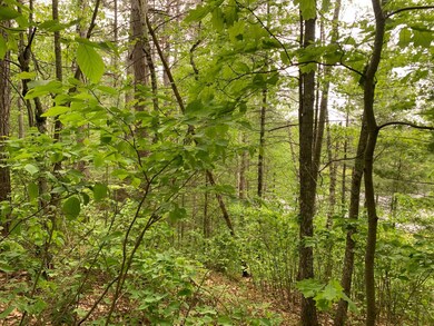 Lot 8 Somo Ridge Dr, Tomahawk, WI 54487 - photo 6