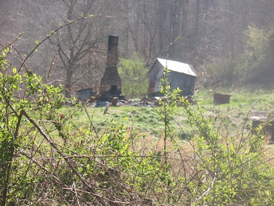 1391 Long Branch Rd, Oneida, KY 40972 - photo 4