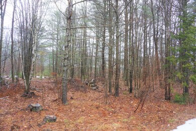 21 Beech St, Lisbon, ME 04250 - photo 6