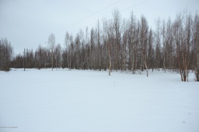Powerline on Adjacent Lot