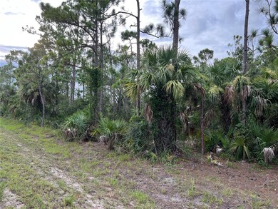 27032 Badger Dr, Punta Gorda, FL 33955 - photo 4