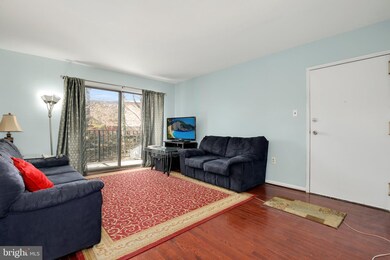 17816 Buehler Rd unit 169, Olney, MD 20832 - photo 4
