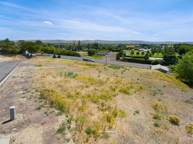 View from lots 10 & 11