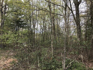 126 Nelson Rd, Milford, PA 18337 - photo 7