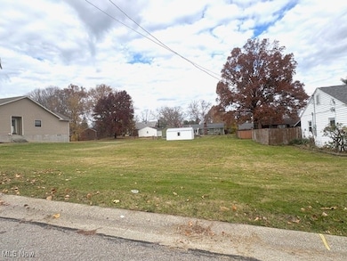 920 W Wilson St, Salem, OH 44460 - photo 6