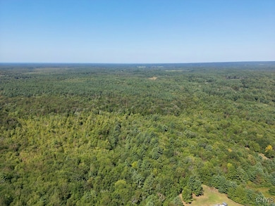 0 Austin Rd unit S1618955, Altmar, NY 13302 - photo 3