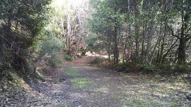 IMG_20160215_142246027(1)