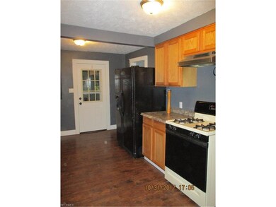 451 Vine St, Geneva, OH 44041 - photo 5