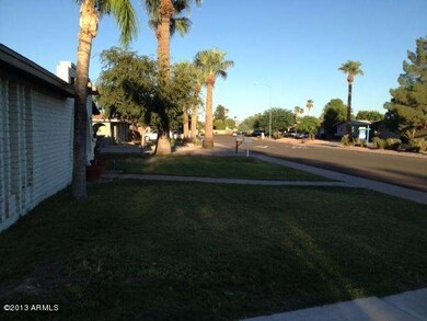 Front Yard & Neighborhood Area