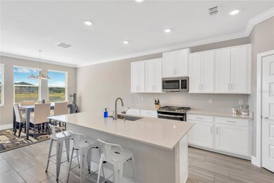 8742 Winning Fields Rd, New Port Richey, FL 34655 - photo 7