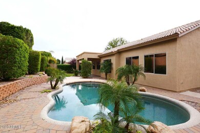 Back Yard Oasis
