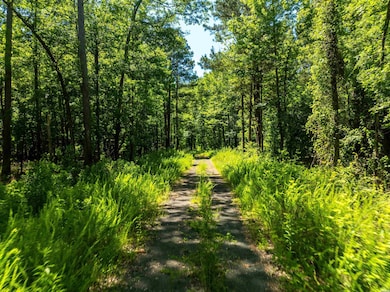 000 Evan Way, Royal, AR 71968 - photo 3