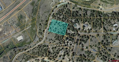 719 E Stollsteimer Rd, Pagosa Springs, CO 81147 - photo 5