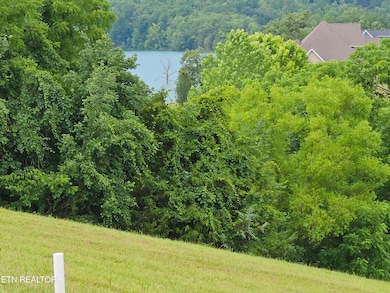 197 Captains Cove, Sharps Chapel, TN 37866 - photo 6