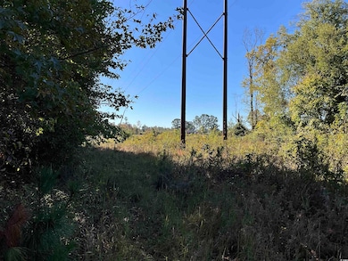 TBD Derrick Ct, Marion, SC 29571 - photo 7