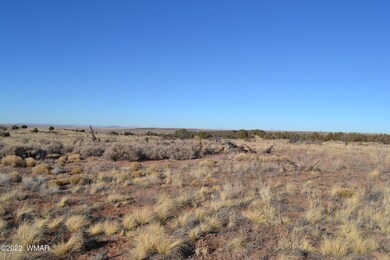 Havers Land - 8290 Willis Hill Trail 003