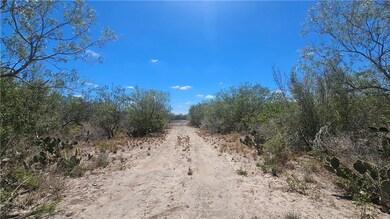 0 Tract 59 unit 462444, Benavides, TX 78341 - photo 4