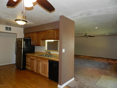 Kitchen Open to Living