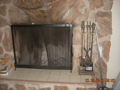 Wood burning fireplace
