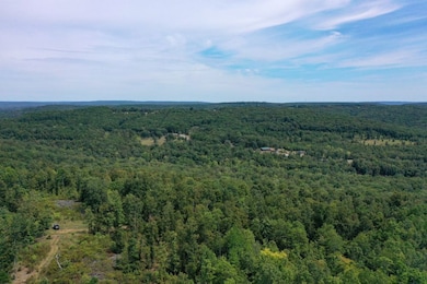 000 Highway 16 E, Clinton, AR 72031 - photo 4