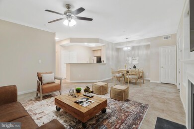 1319 Garden Wall Ct unit 404, Reston, VA 20194 - photo 5