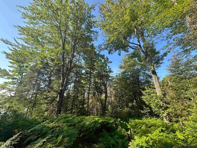 Off Indian Lake Rd, Michigamme, MI 49861 - photo 6