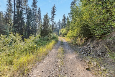 6300 Camas Creek Rd, Potomac, MT 59823 - photo 5