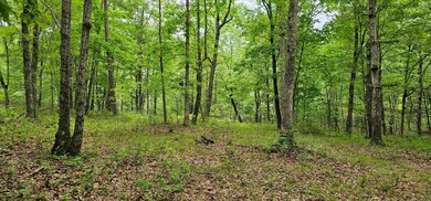 image000001