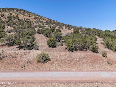 1330 Painted Pony Ln, Williams, AZ 86046 - photo 2