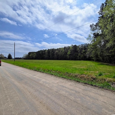 TBD Grassy Bay Dr, Green Sea, SC 29545 - photo 4
