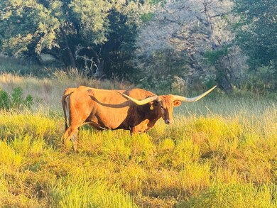 unlisted-address, Blanco, TX 78606 - photo 5