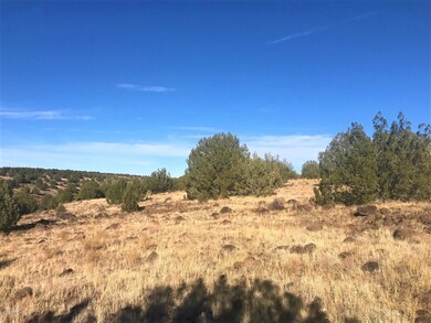 21 N Un Named Rd, Ash Fork, AZ 86320 - photo 6
