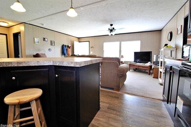 46 Crutchfield Rd, Jonesboro, AR 72401 - photo 4